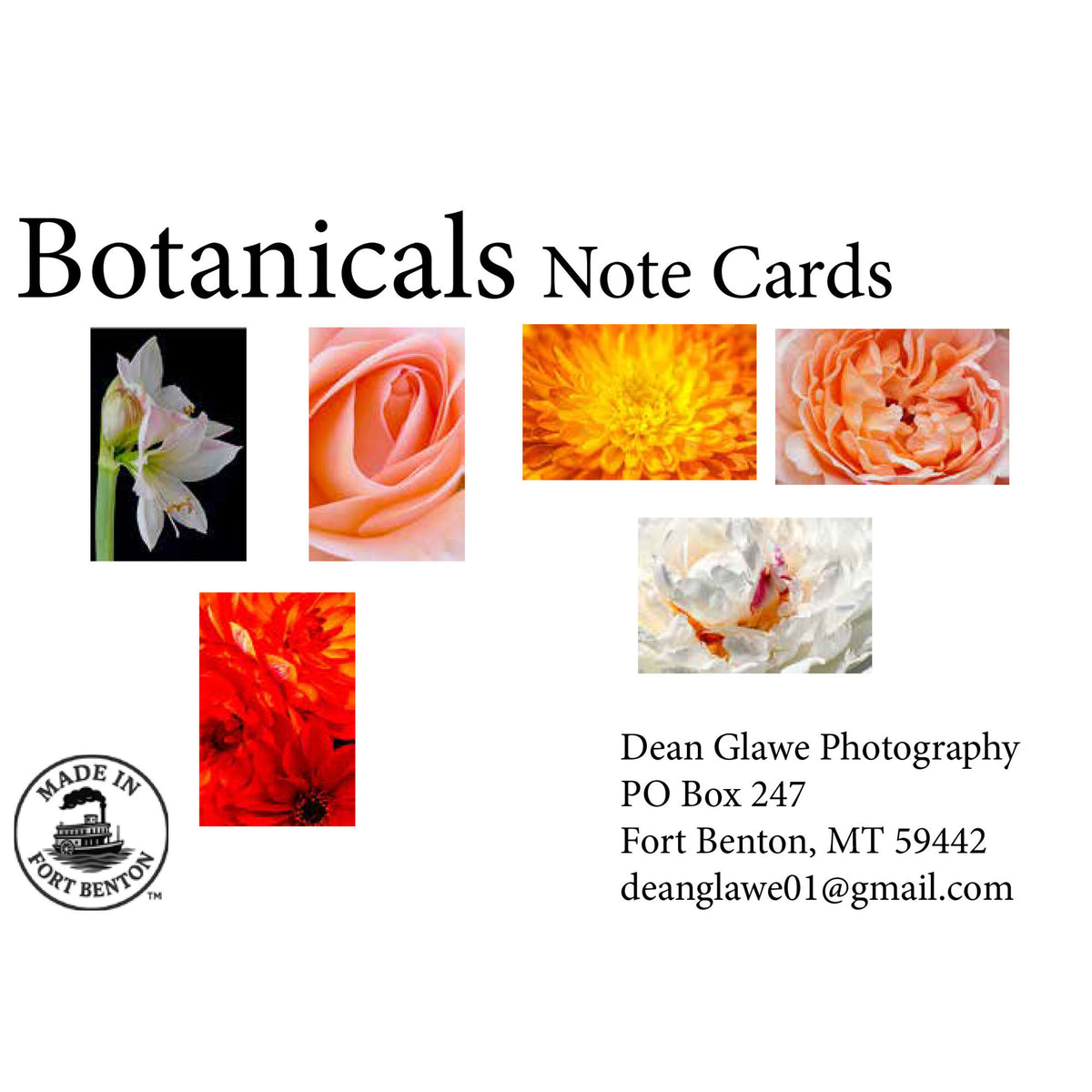 Botanicals (Note Card Set)