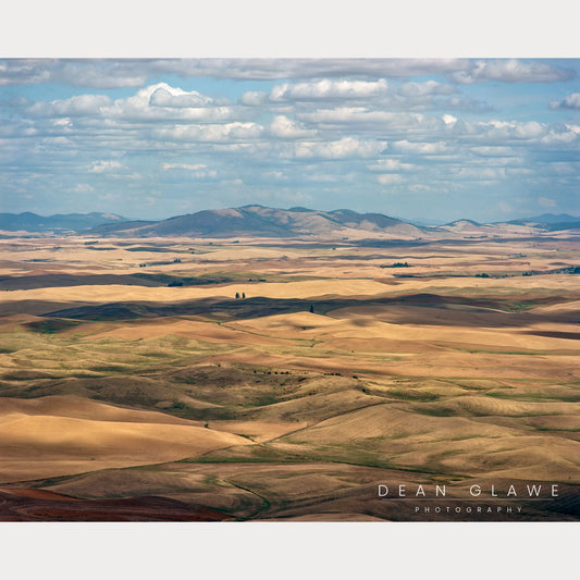 Palouse Hills and Shadows, 20x16, Fine Art Print