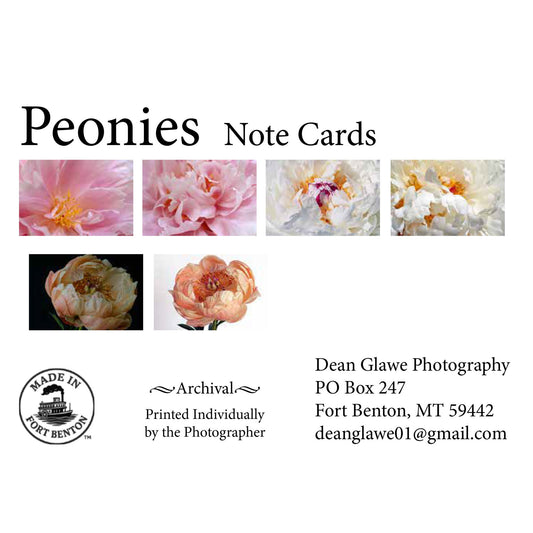 Peonies (Note Card Set)