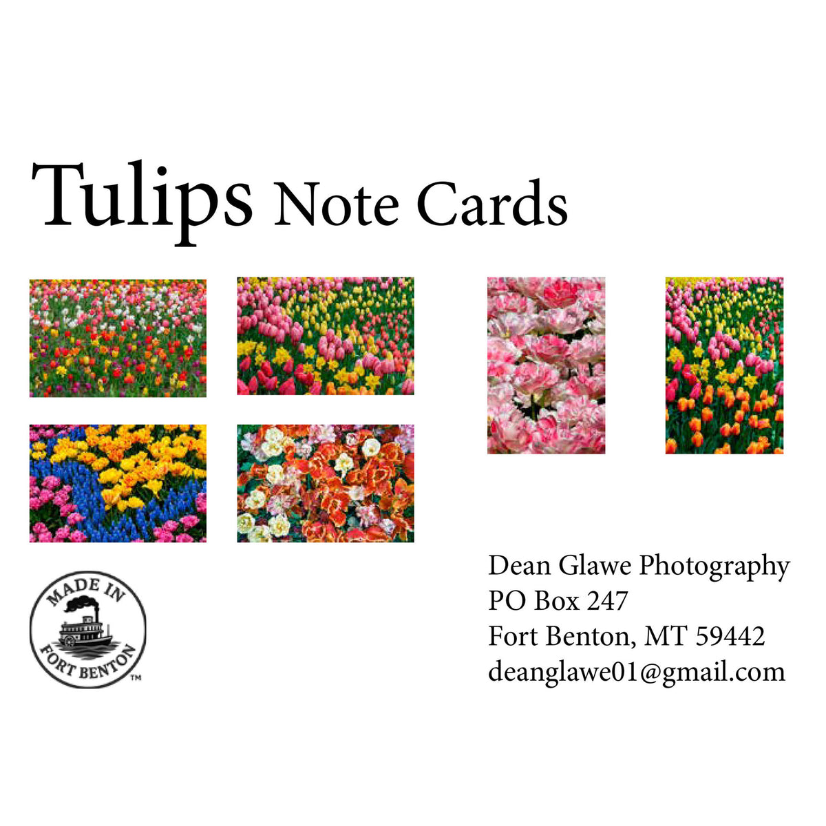 Tulips (Note Card Set)