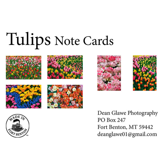 Tulips (Note Card Set)