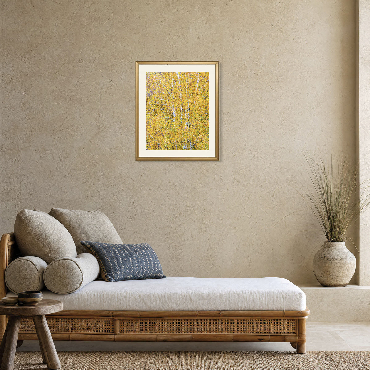 Weeping Birch in Autumn, 16x20, Fine Art Print