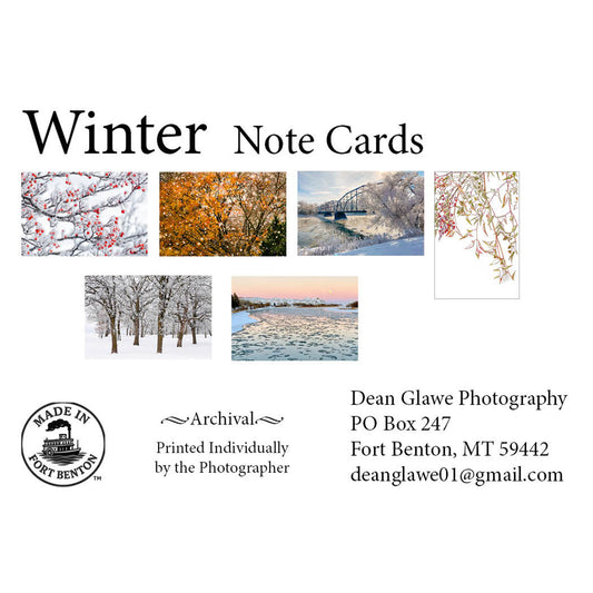Winter (Note Card Set)